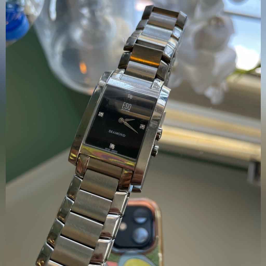 Esq Men Silver Watch